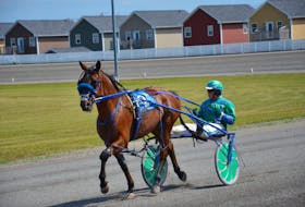 Hes Marvalous and driver Myles Heffernan Sr. warm-up before the second Governor’s Plate elimination at Red Shores at Summerside Raceway on Sunday afternoon. Hes Marvalous finished third and drew the rail for Saturday night’s $25,000 final, presented by Summerside Chrysler Dodge.