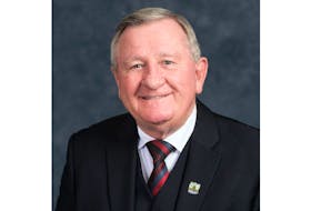 Coun. Mike Duffy, chairman of the public works committee