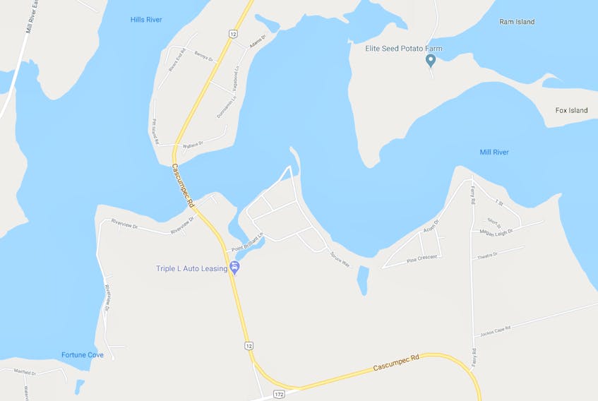 Cascumpec Bridge near Fortune Cove is shown in this Google Maps image.