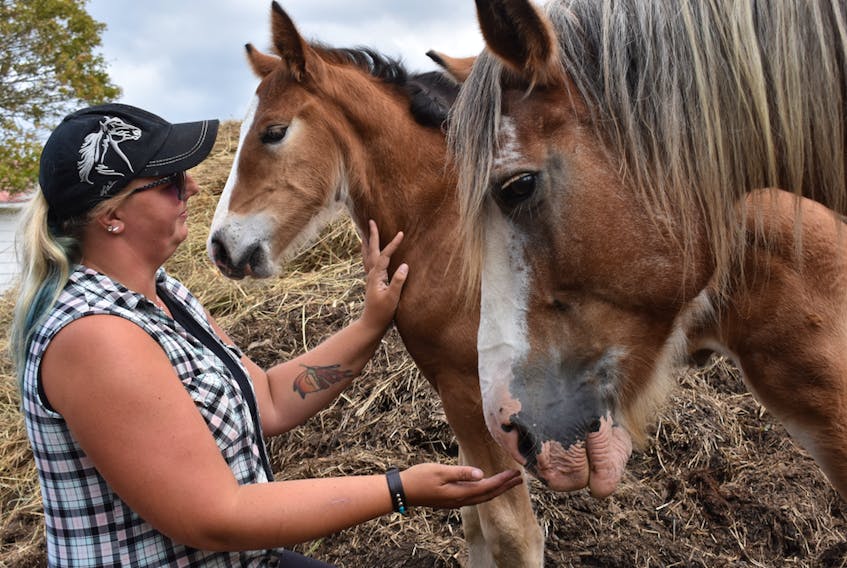 Jana Bishop, pictured with Rose and Jude, always dreamed of owning a horse of her own. She now has two that she believes to be nothing short of heaven-sent.