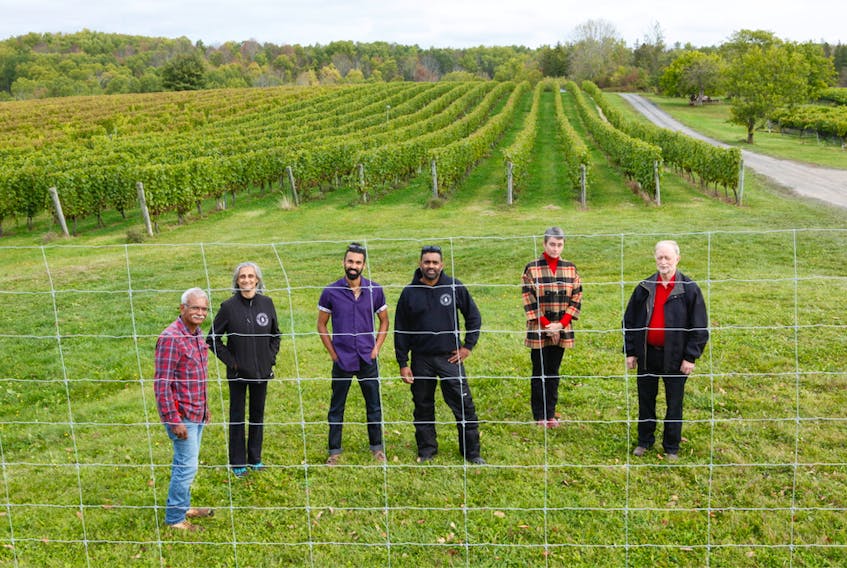Avondale Sky Winery owners Louis, Avila, Sean and Karl Coutinho recently showed Lori Kittlesen and Agriculture Minister Keith Colwell how funding from the provincial department’s Wildlife Damage Mitigation program has helped protect the crops in their vineyards.