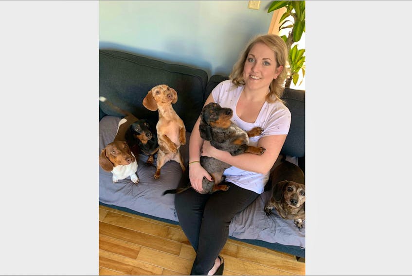 Nanalee Tait is the newest outreach co-ordinator at the Corner Brook Satellite Office, Gander Military Family Resource Centre. She is pictured here with her five dachshunds, from left, Axel, Luna, Evee, Otto and Casey.