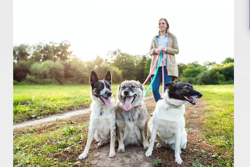 Tracy Jessiman has dedicated her Recycled Love columns to advocating for animals, rescuing and responsible pet ownership. Her columns have been running for the past four years.