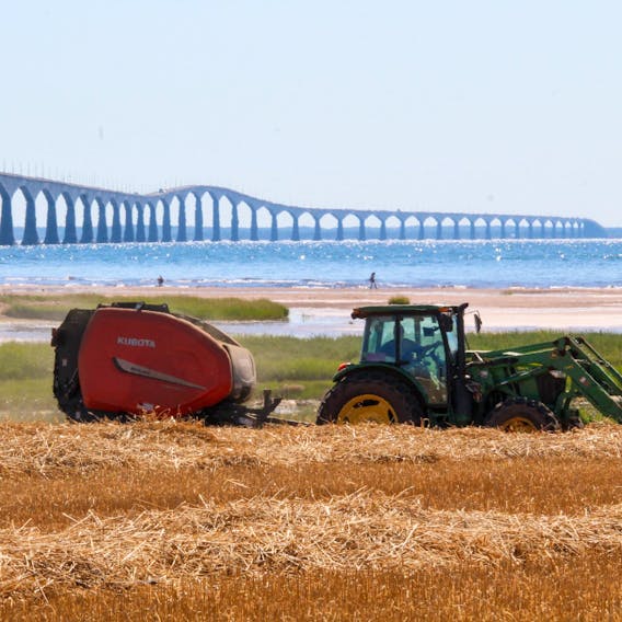 I'm not sure that many farmers can claim a view like this one: sparkling blue water, a hazy late summer sky and the beautiful Confederation Bridge.  The fixed link carries the Trans-Canada Highway across the Abegweit Passage of the Northumberland Strait.  Marlene Noonan snapped this lovely photo and says: "This is perfect straw baling weather".
