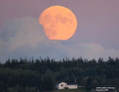 A mostly cloudy day gave way to a pleasant evening surprise in North Sydney NS.  Judy LeBlanc-Brennan was pleased to see the "almost" full moon appear low on the horizon Monday night.  The Full Corn moon was officially full at 2:22 a.m. ADT/2:52 a.m. NDT this morning.