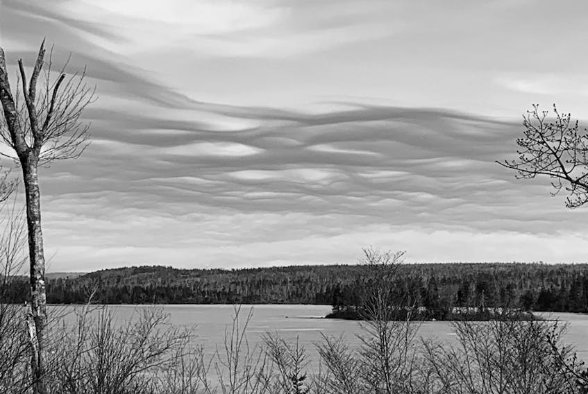 The subject line of the email to which this photo was attached was "ribbon clouds." That's a very good description of the interesting formation Phil and Nancy Campagna spotted from their window in Mineville N.S. It is a turbulent wave cloud called Asperitas. It's the first cloud formation added to the International Cloud Atlas since cirrus intortus in 1951. The name translates to mean "roughness."
