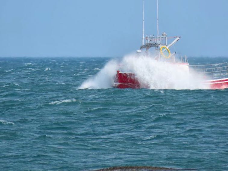 Starr Zwicker was on the wharf at Delaps Cove, N.S., when they snapped this photo of a lobster boat in a rough tide. Seeing this makes me so grateful that I am on dry land. Thank you for the photo, Starr.