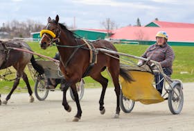 Sonny Rankin will be inducted into the Cape Breton Sport Heritage Hall of Fame next month. He’s shown exercising one of his horses at Northside Downs in North Sydney last week.