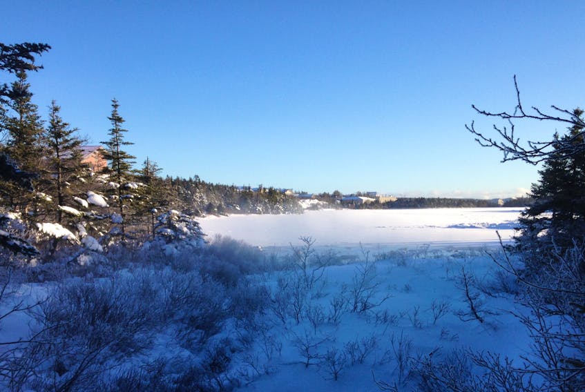 Signs of winter haven't disappeared yet, but SaltWire meteorologist Cindy Day is predicting a slighting warmer and wetter spring for Newfoundland and Labrador.
