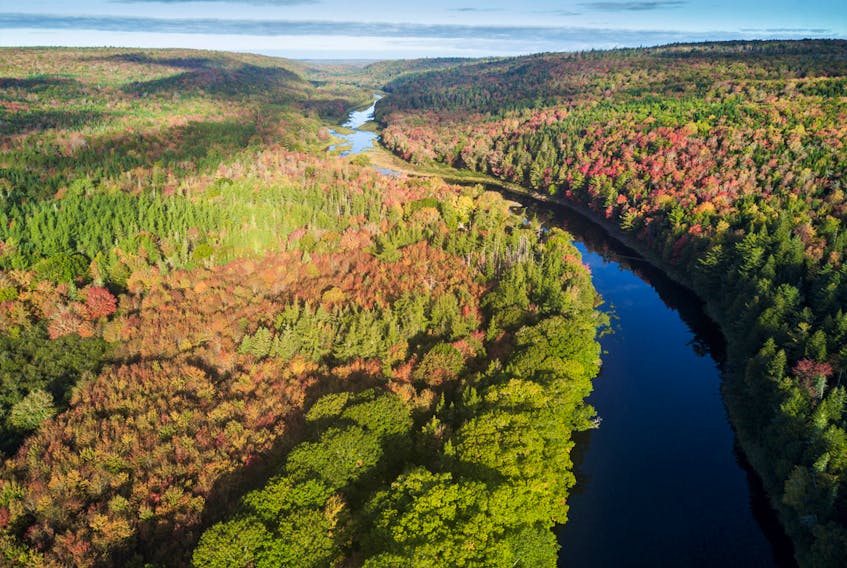 St. Mary's River winds its way through Guysborough County. The Nature Trust of Nova Scotia has protected hundreds of hectares of land in the river corridor. - Scott Leslie