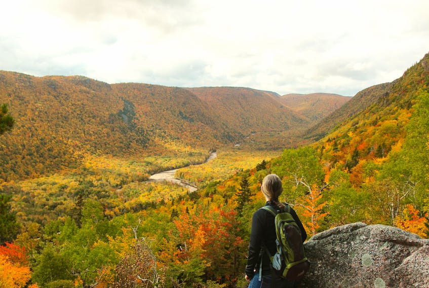 An image of the Cape Breton Highlands National Park is shown. Parks Canada is conducting as survey as part of efforts to update the management plan for the park. Courtesy Parks Canada