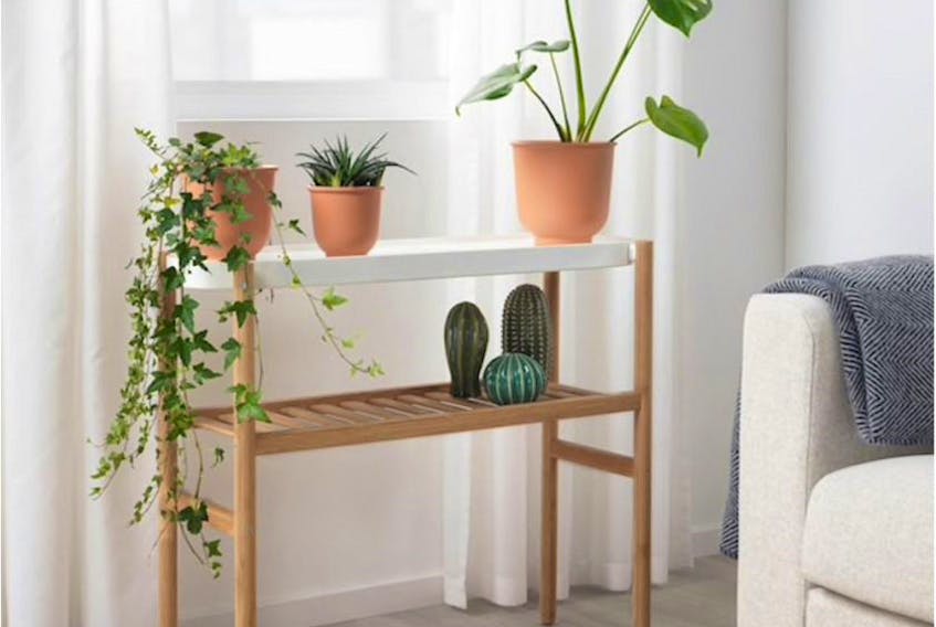 Creating a healthy home is as simple as a bookshelf or stand with easy-care plants. Satsumas bamboo plant stand, Ikea