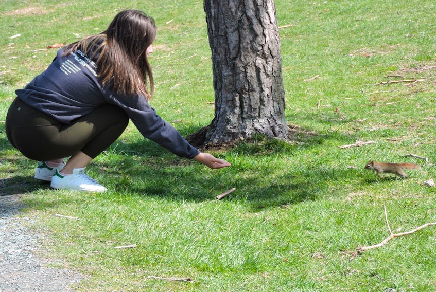 With the lifting of restrictions on enjoying municipal and provincial parks this weekend, many Haligonians like Shea Kirkpatrick visited Point Pleasant Park to feed squirrels, wander the paths and enjoy the outdoors after six weeks of being under a state of emergency due to the COVID-19 pandemic.