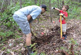 Volunteer Edward Riordon takes instruction from his “supervisor”, son Quentin, while working with the McIntosh Run Watershed Association to improve a path along Spryfield’s Governors Brook.