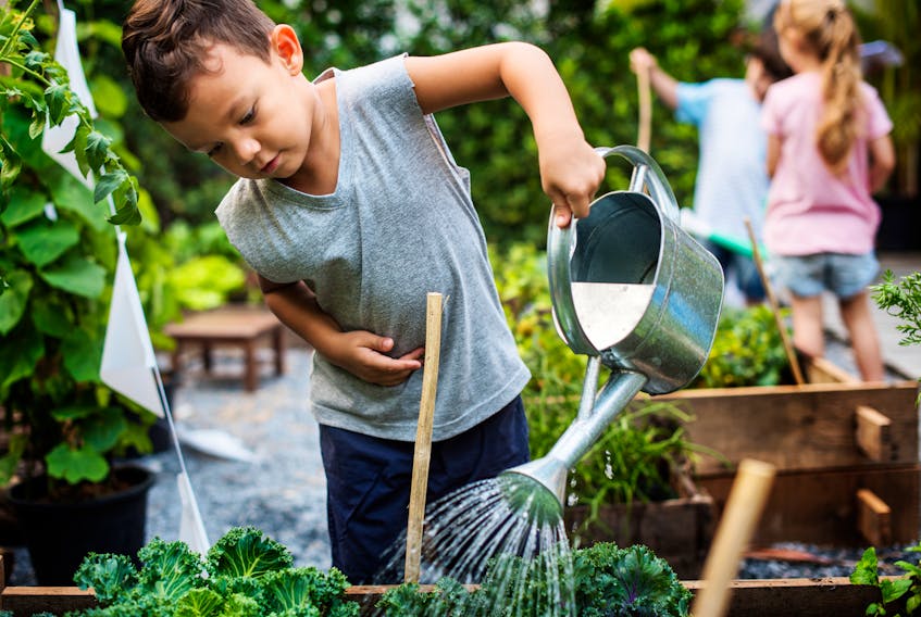 Wednesday marks the 50th anniversary of Earth Day, and although we can't gather together to celebrate the occasion created in the name of ecological protection and preservation, there are many ways families and individuals can observe it in their own backyards. - 123RF