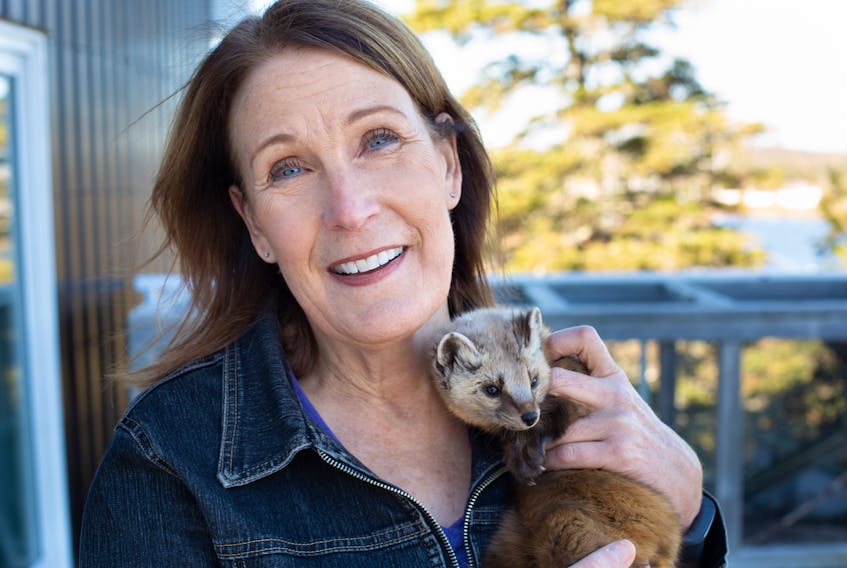 A leading proponent for wildlife rescue and rehabilitation, Hope Swinimer — seen here with Gretel the playful pine marten — and her staff and volunteers at the Hope for Wildlife centre in Seaforth return for a 10th season of the Cottage Life program. New episodes begin airing Friday at 11 p.m. with reruns in a variety of timeslots during the week. - Arcadia Content