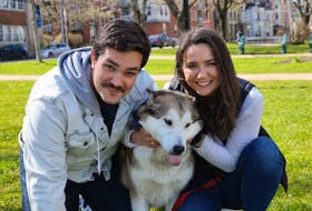 While sticking out her tongue is no reflection on what she thinks about her situation, Shera, a malamute mix, is still getting used to her surroundings after being adopted by Casey Jones and Alyssa Walsh. Shera was rescued thanks to an organization called Fly With Me.
