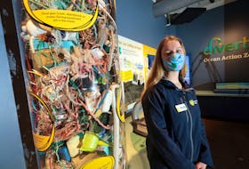Nicole Jessop, Ocean Gallery Staff Scientist at the Discovery Centre says every year thousands of tonnes of plastic waste ends up in the oceans.