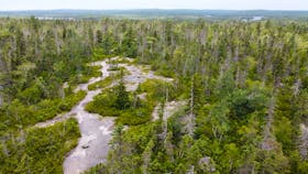 July 20, 2020—Aerial views of Blue Mountain-Birch Cove Lakes Wilderness area.