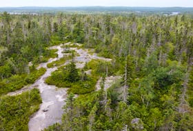 July 20, 2020—Aerial views of Blue Mountain-Birch Cove Lakes Wilderness area.