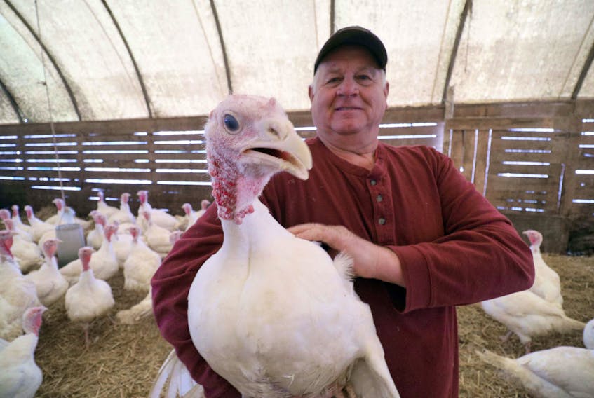 Joe Ebbett, owner of Ebbett’s Meadow Brook Farms in Tatamagouche, is preparing for his busy season. - Eric Wynne