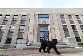 An off-leash dog walks in front of the old Halifax Memorial Library on Spring Garden Road on Dec. 23, 2019.