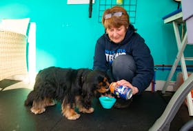 Cindy James gives some Fetch Canine Pale Ale to Georgia at Petite Urban Pooch Inc. in Halifax on Tuesday. James is a partner in Crafty Beasts Brewing Co. which produces the brew for dogs.