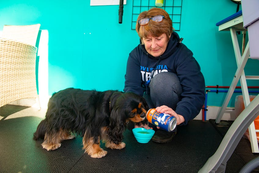 Cindy James gives some Fetch Canine Pale Ale to Georgia at Petite Urban Pooch Inc. in Halifax on Tuesday. James is a partner in Crafty Beasts Brewing Co. which produces the brew for dogs.