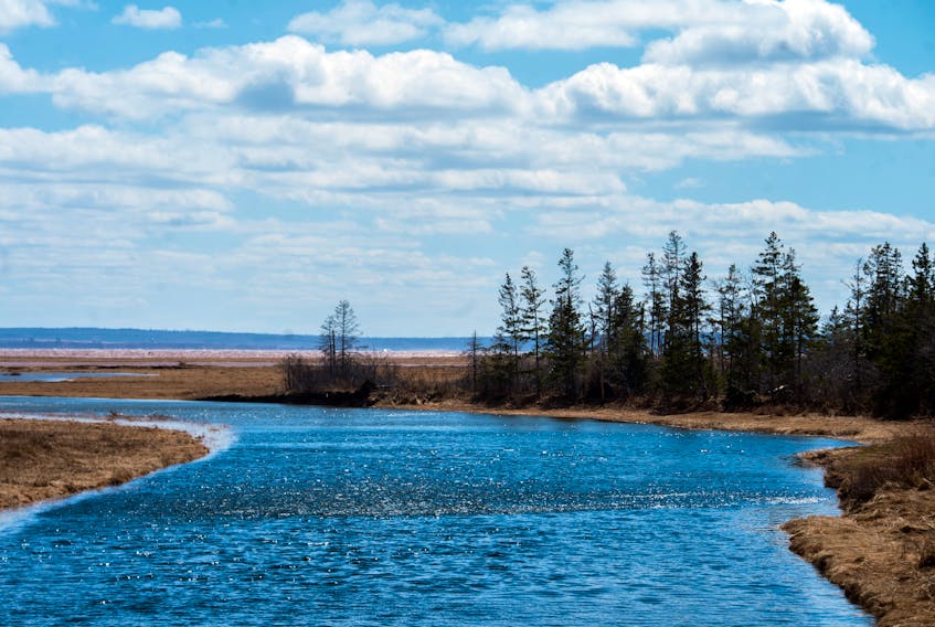 The Portapique River near where it empties into Cobequid Bay, part of the Bay of Fundy.