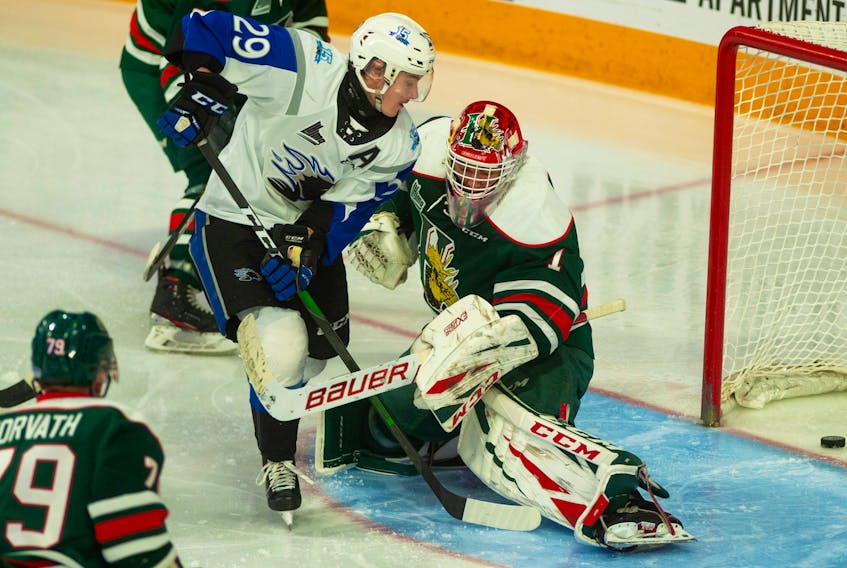 Saint John Sea Dogs left winger Jeffrey Durocher scores a second-period goal on Halifax Mooseheads goalie Alex Gravel during Tuesday afternoon's QMJHL game at the Scotiabank Centre. The Sea Dogs beat the Mooseheads 6-4. (Ryan Taplin - The Chronicle Herald)