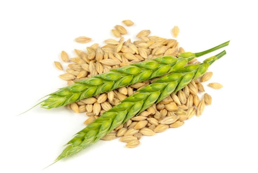 Although popular in soup, barley is finding its way into many exciting, new recipes.