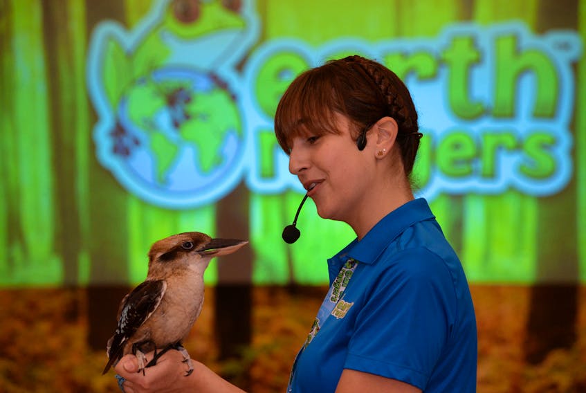 Shannon Cass of the Earth Rangers holds Leonard, a laughing kookaburra bird from Australia, Friday at Bishop Abraham Elementary School in St. John’s.