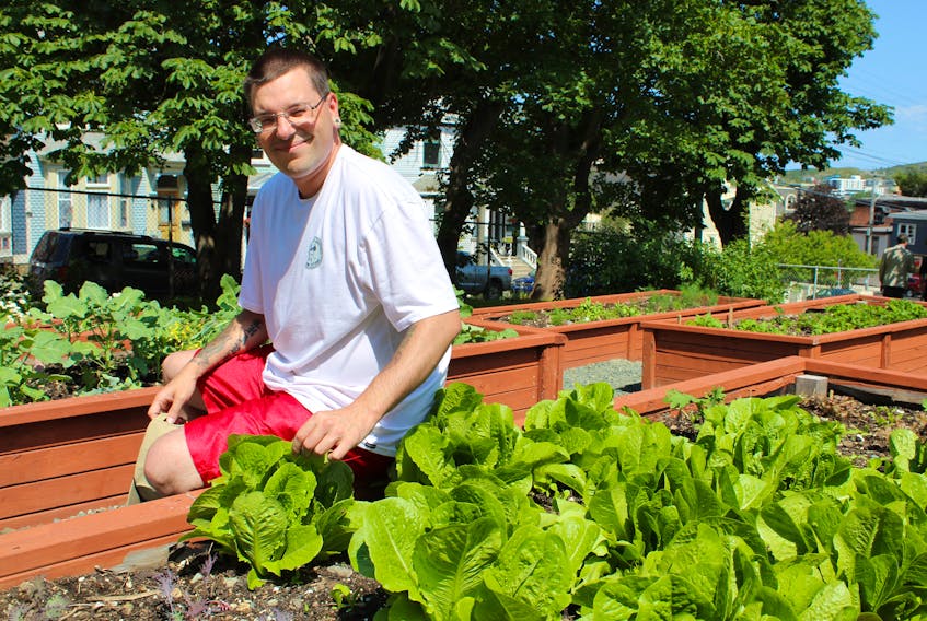 Tell me Charles, how does your garden grow? By the looks of it, quite well. Charles Noseworthy, celebrating his 36th birthday on Monday, was on hand to celebrate the second year of The Gathering Place garden, which this year will see its wares used to help feed the guests who come to the facility looking for a healthy meal. Here, Noseworthy checks over his crop of lettuce.