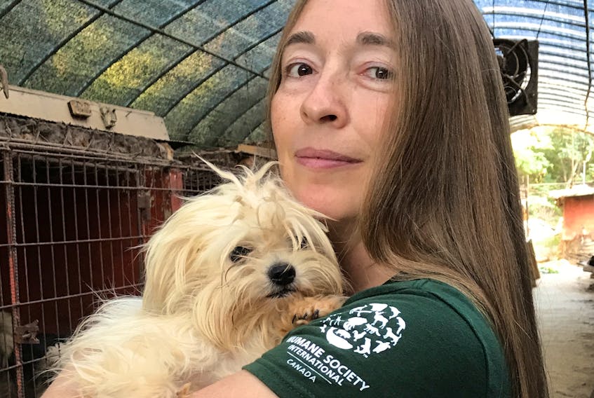 Newfoundland native Rebecca Aldworth returned to Canada on Sunday and will now oversee finding homes for 80 to 90 dogs that will be adopted through shelters in Ontario and Quebec.