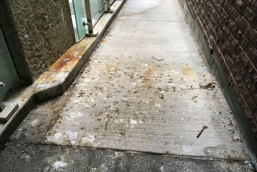 The wheelchair ramp at the St. John’s Arts and Culture Centre on Friday, when Joanne MacDonald had to wheel over pigeon poop to pick up tickets at the box office.