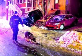 A police dog handler tracks a suspect after a hit and run on St. Clare Avenue Jan. 1. The driver of the SUV involved was arrested a short distance away and charged with multiple offences.