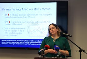 Katherine Skanes, stock assessment biologist with the Department of Fisheries and Oceans, discusses the latest northern shrimp stock assessment report with members of the media in St. John’s Monday.