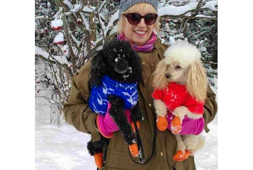 Gail Courtney always keeps booties on her two 12-year-old poodles, Noah and Gracie, when they walk, to protect their paws from road salt.