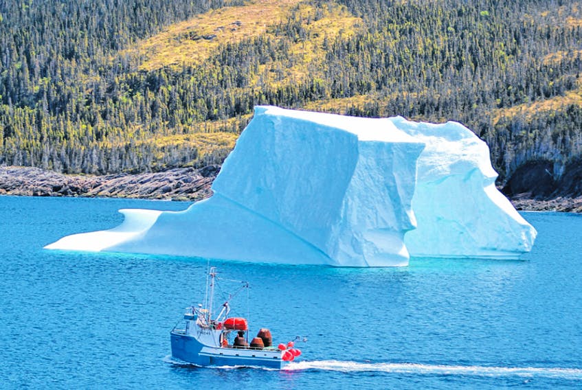 The earlier arrival of icebergs to the shorelines of Newfoundland compared to years past has helped extend the tourism season.