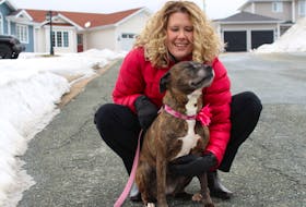 Natasha Pinsent of Paradise, a heart attack survivor, with her pit bull, Pixel.