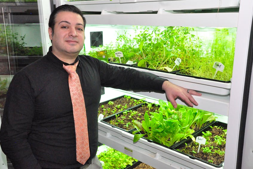 Marcelo Mena manages the YellowBelly Takeaway on Water Street, but with a bachelor degree in biology focused on botany, he is also in charge of the commercial urban cultivator at the YellowBelly Brewery & Public House, where he grows a variety of microgreens that are used primarily as garnish.