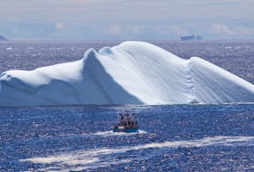 A tour boat approaches an iceberg off the Northern Peninsula in 2018. Residents of Newfoundland and Labrador, along with tourists, will be delighted to know 2019 is expected to be a busy iceberg season.