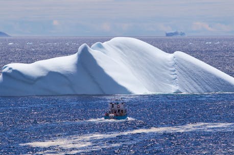 Iceberg season expected to be a good one off Newfoundland