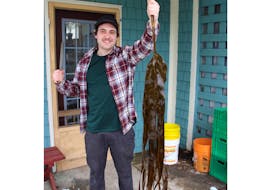 Finding the best seaweed is key to Shawn Dawson's foraging venture. He's shown here outside of The Grounds Café in Portugal Cove preparing the kelp for pickling.