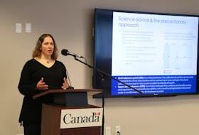 Katherine Skanes of the science branch of the Department of Fisheries and Oceans provides a technical briefing to members of the media Friday in St. John’s on the latest Northern Shrimp Stock assessment.