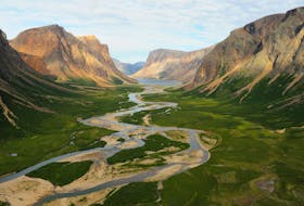 An overhead view of Southwest Arm at Saglek Fjord in Torngat Mountains National Park, showing shrub thickets along the river. This is expanding habitat for boreal birds.