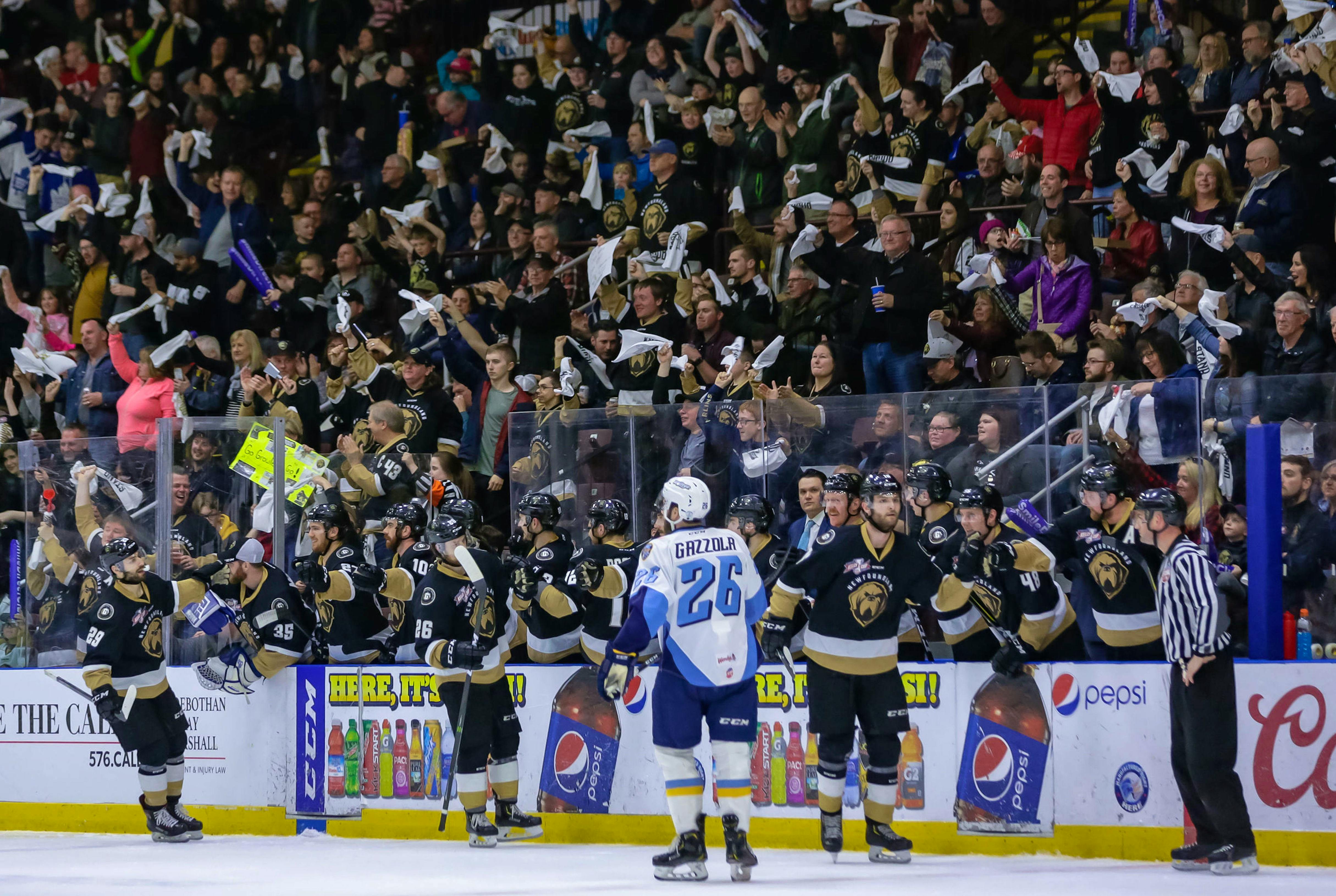Newfoundland Growlers give local hockey fans an inaugural season to cheer  for 