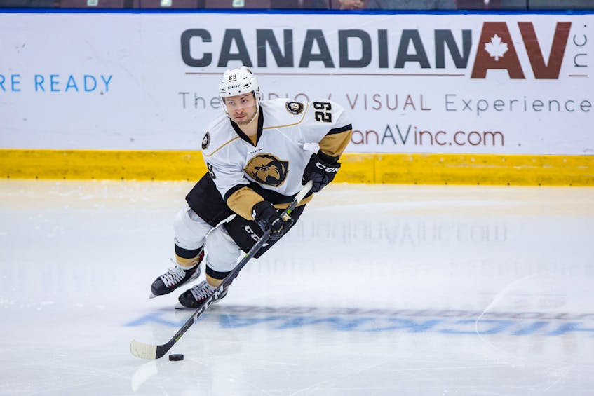 Despite tapering off a little in the second half, Giorgio Estephan was one of the Newfoundland Growlers’ top performers this season. After winning a Western Hockey League championship last year, Estephan hopes to take the experience of a long playoff run into his first pro post season.