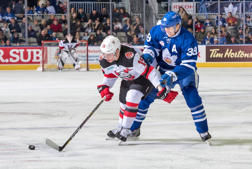 In this file photo from earlier this season, Toronto Marlies forward Colin Greening (38) checks Binghamton Devils winger Blake Pietela as the latter looks to move the puck during an American Hockey League game at Ricoh Coliseum in Toronto. In the AHL, almost all the teams have uniform colours and patterns identifiable with those of their National Hockey League parent club. In many cases — the Devils being an example — the nicknames are the same. But things are different in the ECHL. The look of the new expansion franchise in St John’s should reflect that difference, even if the team will be affiliated with the Marlies and NHL’s Toronto Maple Leafs.
