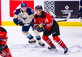 Bay Roberts' Dawson Mercer not the only N.L. connection at this year's IHF  World Men's Ice Hockey Championships in Finland